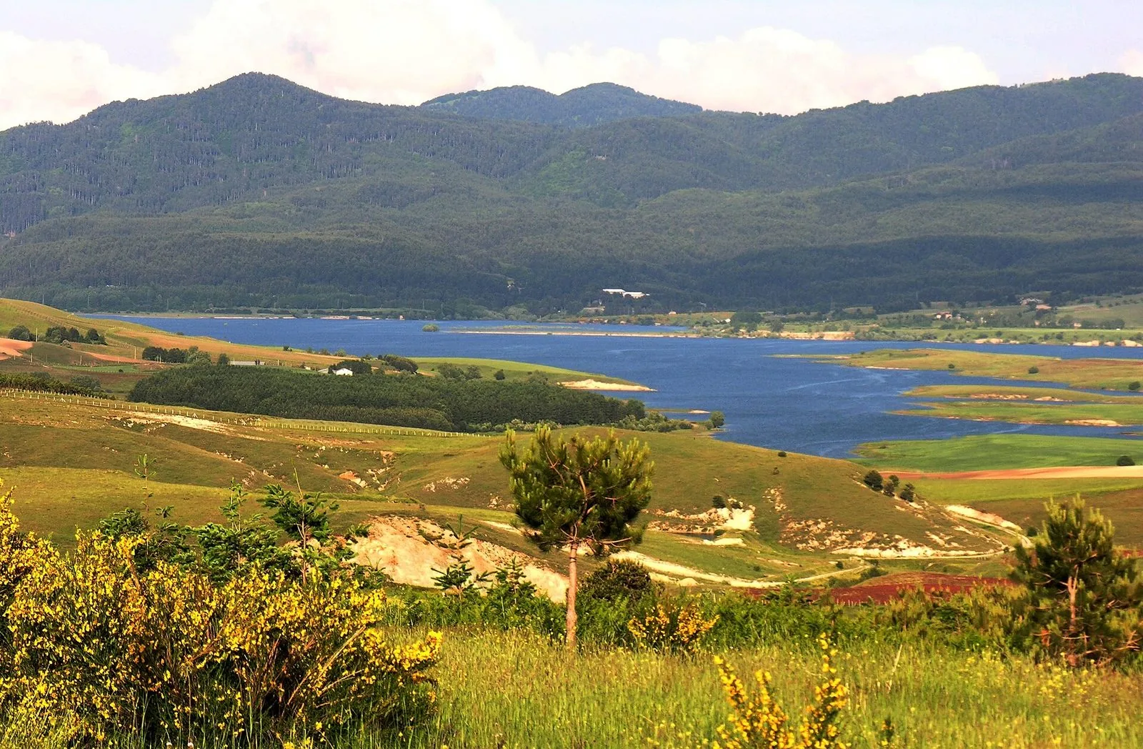 Il Lago Cecita visto dalla strada provinciale per Rose