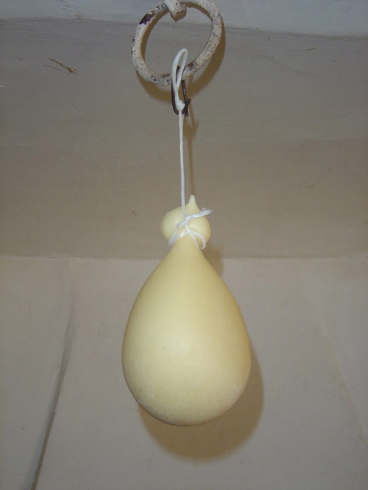 Un caciocavallo appeso a stagionare